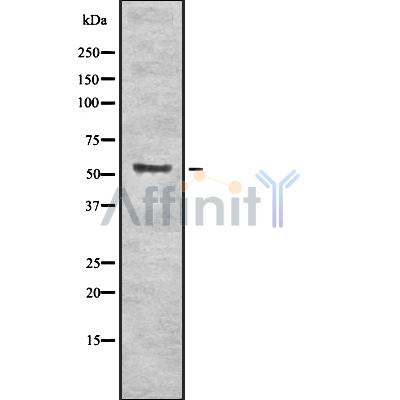 Валидация Affinity DF8569 - 20469