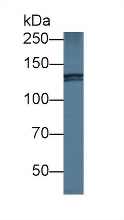 8765