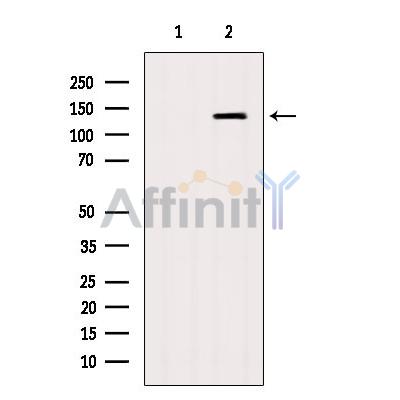 Валидация Affinity DF6228 - 17508