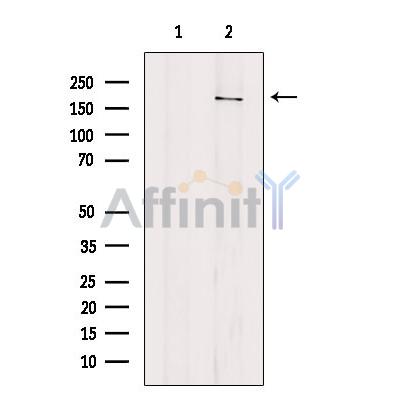 Валидация Affinity DF13224 - 8254