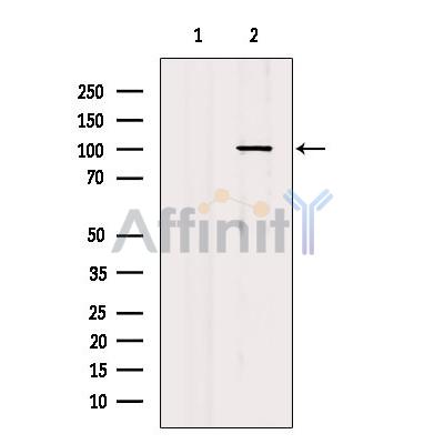 Валидация Affinity DF6873 - 18458