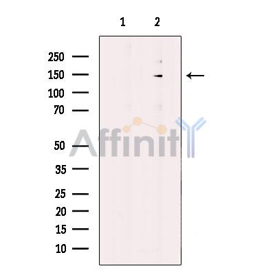 Валидация Affinity DF12265 - 6594