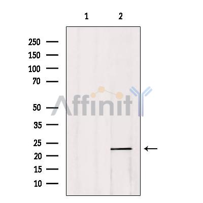 Валидация Affinity DF3273 - 14127