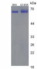 50906