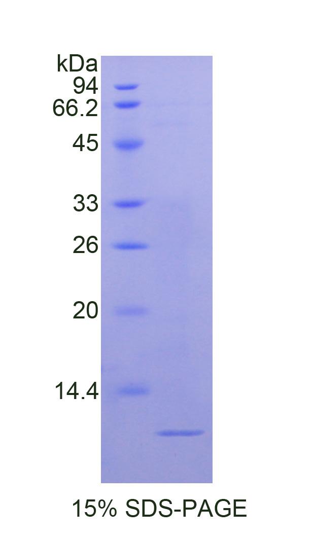 48182