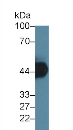 17846