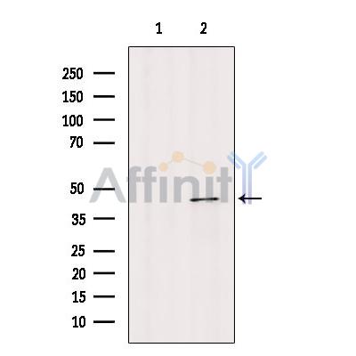 Валидация Affinity DF8778 - 20812
