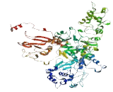 Transmembrane Protein 132B (TMEM132B)