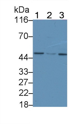 23358