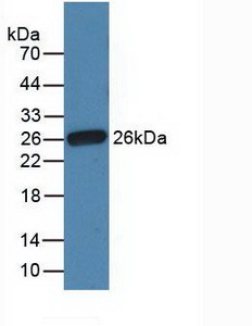47608