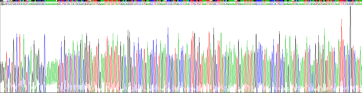 26255