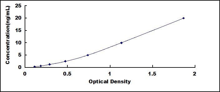 62044