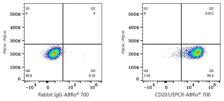 A26553, проточная цитометрия, клетки A549 (20948)