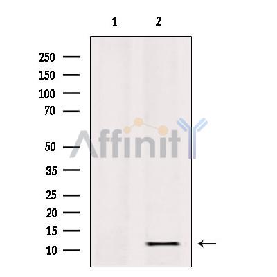 Валидация Affinity DF3710 - 14752