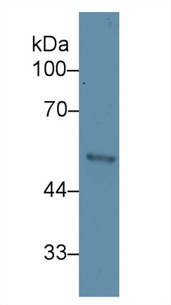 13494