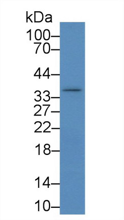 9059