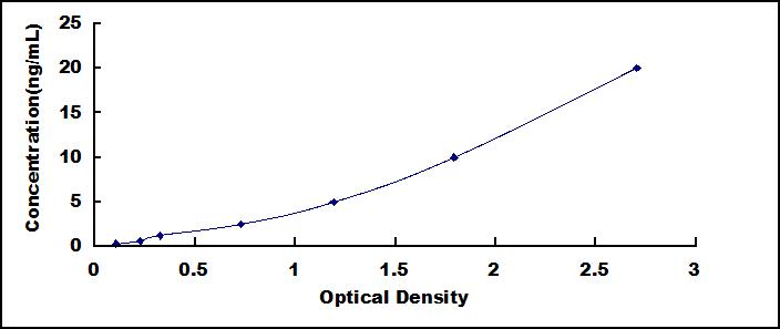 42054