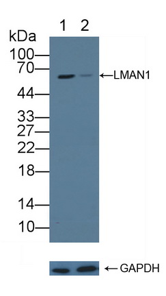 12220