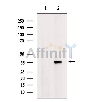Валидация Affinity DF10269 - 5873