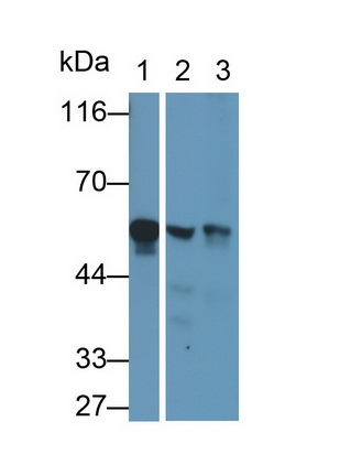 13346