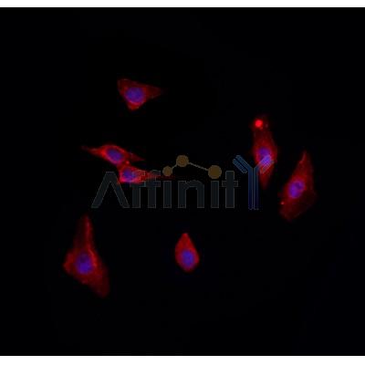 Валидация Affinity DF8733 - 20751