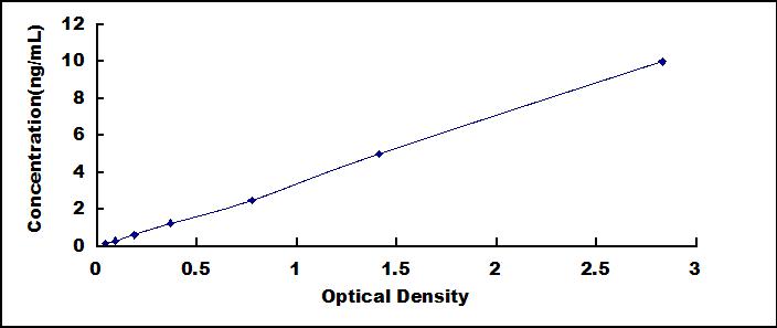 56187