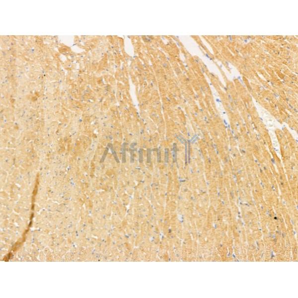 Валидация Affinity DF13732 - 9373