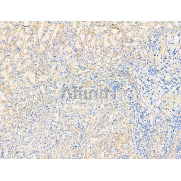 Валидация Affinity DF13370 - 8605