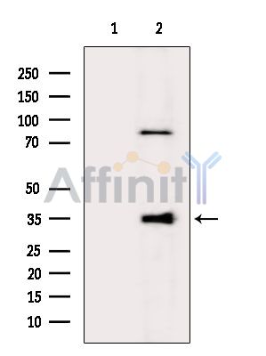 Валидация Affinity DF4102 - 15388