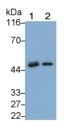 26901