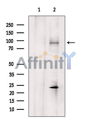 Валидация Affinity DF7198 - 18862