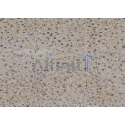 Валидация Affinity DF12050 - 6100