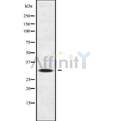 Валидация Affinity DF10107 - 5609
