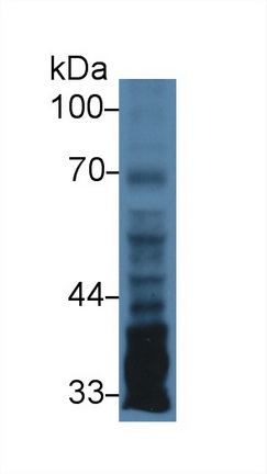 9390