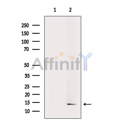 Валидация Affinity DF9918 - 22898