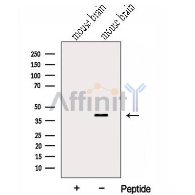Валидация Affinity DF13045 - 7886