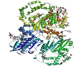 Acid Phosphatase 3, Prostatic (ACP3)
