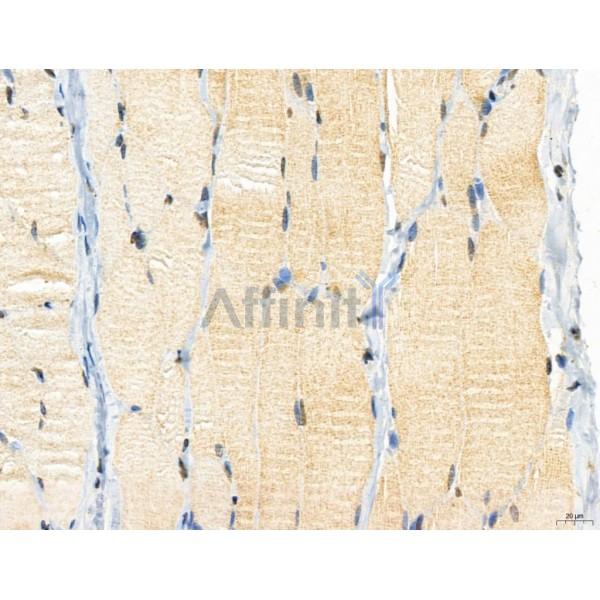 Валидация Affinity DF12145 - 6328