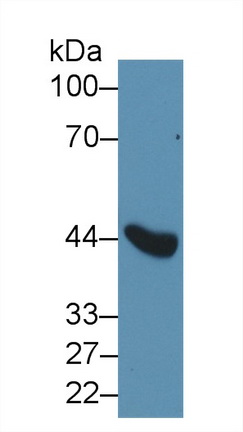 13546