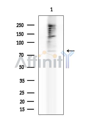Валидация Affinity DF6673 - 18160