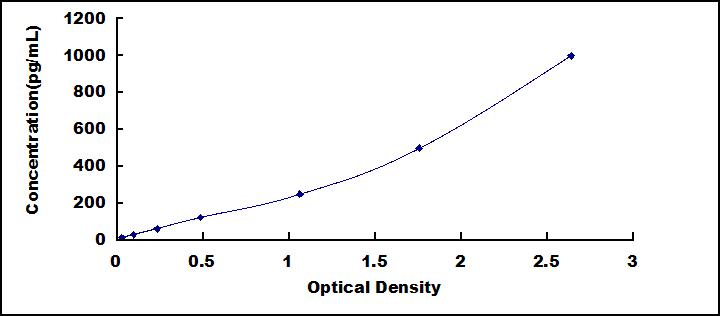 65073