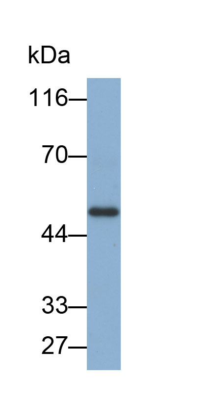 32841
