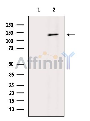 Валидация Affinity DF14201 - 10029