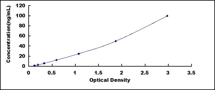 46244