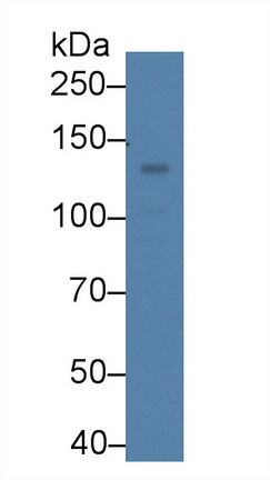 8973