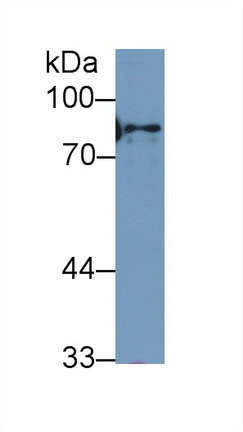 13401