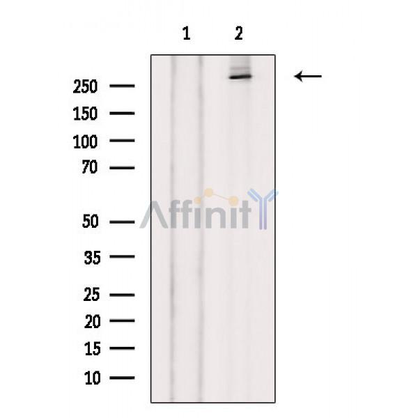 Валидация Affinity AF6887 - 4097