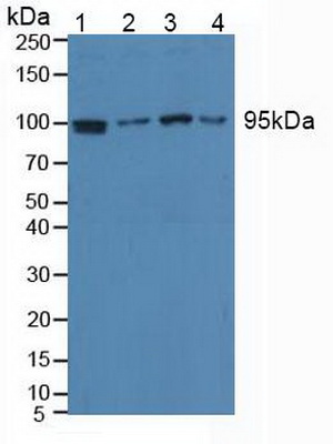 5137