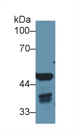 13457
