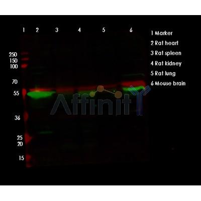 Валидация Affinity AF7015 - 4161